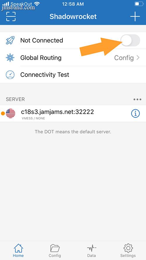 Connect to v2ray service on iPhone